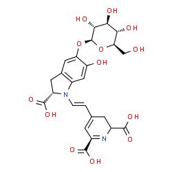 ChemSpider 2D Image | 4-{(E)-2-[(2S)-2-Carboxy-5-(beta-D-glucopyranosyloxy)-6-hydroxy-2,3-dihydro-1H-indol-1-yl]vinyl}-2,3-dihydro-2,6-pyridinedicarboxylic acid | C24H26N2O13