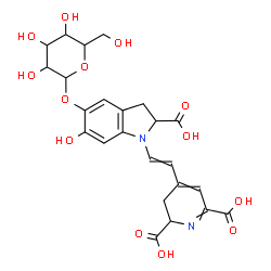 ChemSpider 2D Image | 4-{2-[2-Carboxy-5-(hexopyranosyloxy)-6-hydroxy-2,3-dihydro-1H-indol-1-yl]vinyl}-2,3-dihydro-2,6-pyridinedicarboxylic acid | C24H26N2O13