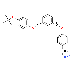 ChemSpider 2D Image | (4-{[3-({4-[(2-Methyl-2-propanyl)oxy]phenoxy}methyl)benzyl]oxy}phenyl)methanaminium | C25H30NO3