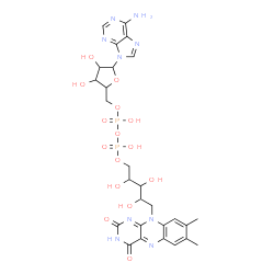 ChemSpider 2D Image | [[(2S,3R,4R,5S)-5-(6-aminopurin-9-yl)-3,4-dihydroxy-tetrahydrofuran-2-yl]methoxy-hydroxy-phosphoryl] [(2S,3R,4R)-5-(7,8-dimethyl-2,4-dioxo-benzo[g]pteridin-10-yl)-2,3,4-trihydroxy-pentyl] hydrogen phosphate | C27H33N9O15P2