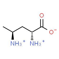 ChemSpider 2D Image | (2R,4S)-2,4-Diammoniopentanoate | C5H13N2O2