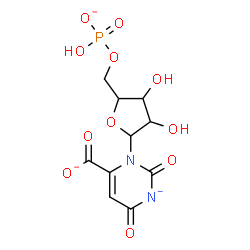 ChemSpider 2D Image | 3-[5-O-(Hydroxyphosphinato)pentofuranosyl]-2,6-dioxo-3,6-dihydro-2H-pyrimidin-1-ide-4-carboxylatato(3-) | C10H10N2O11P