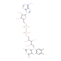ChemSpider 2D Image | [[(2S,3R,4R,5S)-5-(6-aminopurin-9-yl)-3,4-dihydroxy-tetrahydrofuran-2-yl]methoxy-oxido-phosphoryl] [(2S,3R,4R)-5-(7,8-dimethyl-4-oxido-2-oxo-benzo[g]pteridin-10-yl)-2,3,4-trihydroxy-pentyl] phosphate | C27H30N9O15P2