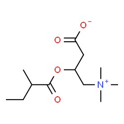ChemSpider 2D Image | 3-[(2-Methylbutanoyl)oxy]-4-(trimethylammonio)butanoate | C12H23NO4