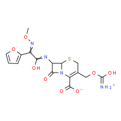 ChemSpider 2D Image | 3-{[(Ammoniocarbonyl)oxy]methyl}-7-{[2-furyl(methoxyimino)acetyl]amino}-8-oxo-5-thia-1-azabicyclo[4.2.0]oct-2-ene-2-carboxylate | C16H16N4O8S