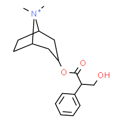ChemSpider 2D Image | 3-[(3-Hydroxy-2-phenylpropanoyl)oxy]-8,8-dimethyl-8-azoniabicyclo[3.2.1]octane | C18H26NO3