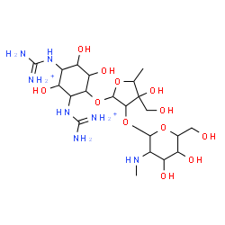 ChemSpider 2D Image | {[4-({5-Deoxy-2-O-[2-deoxy-2-(methylamino)hexopyranosyl]-3-C-(hydroxymethyl)pentofuranosyl}oxy)-2,5,6-trihydroxy-1,3-cyclohexanediyl]diimino}bis(iminomethanaminium) | C21H43N7O12