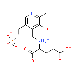 ChemSpider 2D Image | 2-[({3-Hydroxy-2-methyl-5-[(phosphonatooxy)methyl]-4-pyridinyl}methyl)ammonio]pentanedioate | C13H16N2O9P