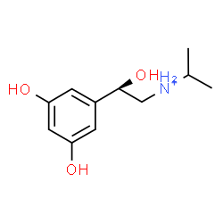 ChemSpider 2D Image | N-[(2R)-2-(3,5-Dihydroxyphenyl)-2-hydroxyethyl]-2-propanaminium | C11H18NO3