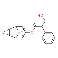 ChemSpider 2D Image | 7-[(3-Hydroxy-2-phenylpropanoyl)oxy]-9,9-dimethyl-3-oxa-9-azoniatricyclo[3.3.1.0~2,4~]nonane | C18H24NO4