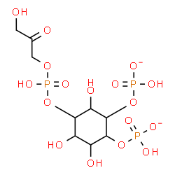 ChemSpider 2D Image | 3,4,6-Trihydroxy-5-{[hydroxy(3-hydroxy-2-oxopropoxy)phosphoryl]oxy}-1,2-cyclohexanediyl bis[hydrogen (phosphate)] | C9H17O17P3