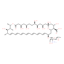 ChemSpider 2D Image | (1R,3S,5R,6R,9R,11R,15S,16R,17R,18S,19E,21E,23E,25E,27E,29E,31E,33R,35S,36R,37S)-33-[(3-amino-3,6-dideoxyhexopyranosyl)oxy]-1,3,5,6,9,11,17,37-octahydroxy-15,16,18-trimethyl-13-oxo-14,39-dioxabicyclo[33.3.1]nonatriaconta-19,21,23,25,27,29,31-heptaene-36-carboxylic acid | C47H73NO17