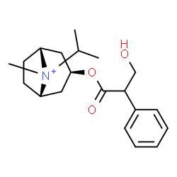 ChemSpider 2D Image | (3-exo,8-syn)-3-[(3-Hydroxy-2-phenylpropanoyl)oxy]-8-isopropyl-8-methyl-8-azoniabicyclo[3.2.1]octane | C20H30NO3