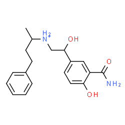 ChemSpider 2D Image | N-[2-(3-Carbamoyl-4-hydroxyphenyl)-2-hydroxyethyl]-4-phenyl-2-butanaminium | C19H25N2O3