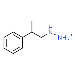 ChemSpider 2D Image | (2-Phenylpropyl)hydrazinium | C9H15N2