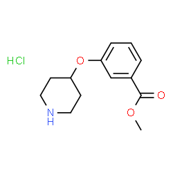 ChemSpider 2D Image | methyl 3-(piperidin-4-yloxy)benzoate hydrochloride | C13H18ClNO3