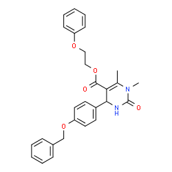 ChemSpider 2D Image | 2-Phenoxyethyl 4-[4-(benzyloxy)phenyl]-1,6-dimethyl-2-oxo-1,2,3,4-tetrahydro-5-pyrimidinecarboxylate | C28H28N2O5