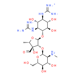 ChemSpider 2D Image | (1R,2S,3R,4R,5S,6R)-2,4-Bis{[ammonio(imino)methyl]amino}-3,5,6-trihydroxycyclohexyl 5-deoxy-2-O-[2-deoxy-2-(methylammonio)-alpha-L-glucopyranosyl]-3-C-formyl-alpha-L-lyxofuranoside | C21H42N7O12