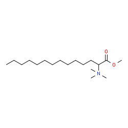 ChemSpider 2D Image | methyl 2-(trimethyl-$l^{5}-azanyl)tetradecanoate | C18H38NO2