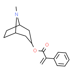 ChemSpider 2D Image | 8-Methyl-8-azabicyclo[3.2.1]oct-3-yl atropate | C17H21NO2