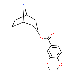 ChemSpider 2D Image | 8-Azabicyclo[3.2.1]oct-3-yl 3,4-dimethoxybenzoate | C16H21NO4