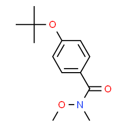 ChemSpider 2D Image | N-Methoxy-N-methyl-4-[(2-methyl-2-propanyl)oxy]benzamide | C13H19NO3