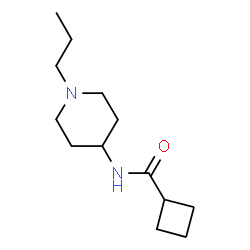 ChemSpider 2D Image | N-(1-Propyl-4-piperidinyl)cyclobutanecarboxamide | C13H24N2O
