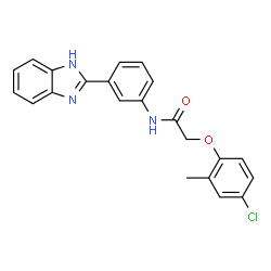 ChemSpider 2D Image | N-[3-(1H-Benzimidazol-2-yl)phenyl]-2-(4-chloro-2-methylphenoxy)acetamide | C22H18ClN3O2