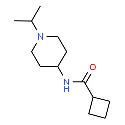 ChemSpider 2D Image | N-(1-Isopropyl-4-piperidinyl)cyclobutanecarboxamide | C13H24N2O