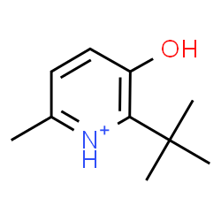 ChemSpider 2D Image | 3-Hydroxy-6-methyl-2-(2-methyl-2-propanyl)pyridinium | C10H16NO