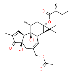 ChemSpider 2D Image | (1aR,1bS,4aR,7aS,7bR,8R,9aS)-3-(Acetoxymethyl)-4a,7b-dihydroxy-1,1,6,8-tetramethyl-5-oxo-1,1a,1b,4,4a,5,7a,7b,8,9-decahydro-9aH-cyclopropa[3,4]benzo[1,2-e]azulen-9a-yl 2-methylbutanoate | C27H38O7