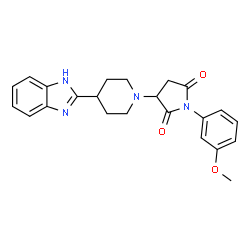ChemSpider 2D Image | 3-[4-(1H-Benzimidazol-2-yl)-1-piperidinyl]-1-(3-methoxyphenyl)-2,5-pyrrolidinedione | C23H24N4O3