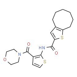 ChemSpider 2D Image | N-[3-(4-Morpholinylcarbonyl)-2-thienyl]-4,5,6,7,8,9-hexahydrocycloocta[b]thiophene-2-carboxamide | C20H24N2O3S2