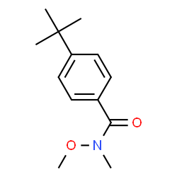 ChemSpider 2D Image | 4-tert-butyl-N-methoxy-N-methylbenzamide | C13H19NO2