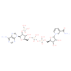 ChemSpider 2D Image | [(2R,3R,4R,5R)-2-(6-aminopurin-9-yl)-5-[[[[(2R,3S,4R)-5-(3-carbamoylpyridin-1-ium-1-yl)-3,4-dihydroxy-tetrahydrofuran-2-yl]methoxy-hydroxy-phosphoryl]oxy-hydroxy-phosphoryl]oxymethyl]-4-hydroxy-tetrahydrofuran-3-yl] hydrogen phosphate | C21H28N7O17P3