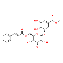 ChemSpider 2D Image | Methyl (3R,4R,5R)-3,4-dihydroxy-5-({6-O-[(2E)-3-phenyl-2-propenoyl]-beta-D-glucopyranosyl}oxy)-1-cyclohexene-1-carboxylate | C23H28O11