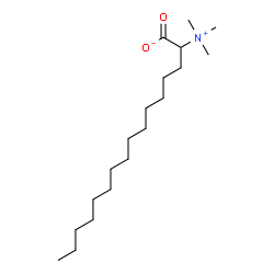 ChemSpider 2D Image | tetradecylbetaine | C19H39NO2