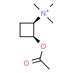 ChemSpider 2D Image | (1R,2S)-2-Acetoxy-N,N,N-trimethylcyclobutanaminium | C9H18NO2