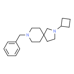 ChemSpider 2D Image | 8-Benzyl-2-cyclobutyl-2,8-diazaspiro[4.5]decane | C19H28N2