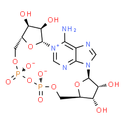 ChemSpider 2D Image | (2R,3R,4S,5R,13R,14S,15R,16R)-24-Amino-3,4,14,15-tetrahydroxy-7,9,11,25,26-pentaoxa-17,19,22-triaza-1-azonia-8,10-diphosphapentacyclo[18.3.1.1~2,5~.1~13,16~.0~17,21~]hexacosa-1(24),18,20,22-tetraene-8
,10-diolate 8,10-dioxide | C15H20N5O13P2