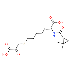 ChemSpider 2D Image | (2Z)-7-[(2-Carboxy-2-oxoethyl)sulfanyl]-2-{[(2,2-dimethylcyclopropyl)carbonyl]amino}-2-heptenoic acid | C16H23NO6S