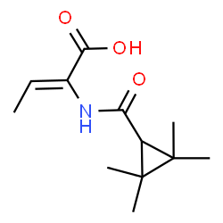 ChemSpider 2D Image | (2Z)-2-{[(2,2,3,3-Tetramethylcyclopropyl)carbonyl]amino}-2-butenoic acid | C12H19NO3