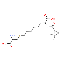 ChemSpider 2D Image | (2Z)-8-[(2-Amino-2-carboxyethyl)sulfanyl]-2-{[(2,2-dimethylcyclopropyl)carbonyl]amino}-2-octenoic acid | C17H28N2O5S