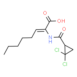 ChemSpider 2D Image | (2Z)-2-{[(2,2-Dichlorocyclopropyl)carbonyl]amino}-2-octenoic acid | C12H17Cl2NO3