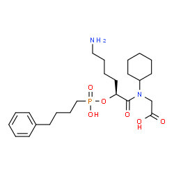 ChemSpider 2D Image | N-[(2S)-6-Amino-2-{[hydroxy(4-phenylbutyl)phosphoryl]oxy}hexanoyl]-N-cyclohexylglycine | C24H39N2O6P