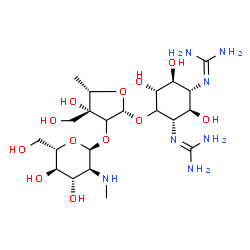 ChemSpider 2D Image | 1,1'-[(1R,2R,3S,5R,6S)-4-{[(2xi)-5-Deoxy-2-O-[2-deoxy-2-(methylamino)-alpha-L-glucopyranosyl]-3-C-(hydroxymethyl)-beta-L-threo-pentofuranosyl]oxy}-2,5,6-trihydroxy-1,3-cyclohexanediyl]diguanidine | C21H41N7O12