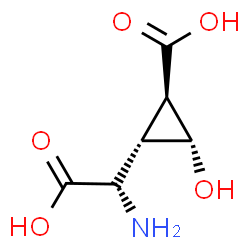 ChemSpider 2D Image | (1R,2S,3R)-2-[(S)-Amino(carboxy)methyl]-3-hydroxycyclopropanecarboxylic acid | C6H9NO5