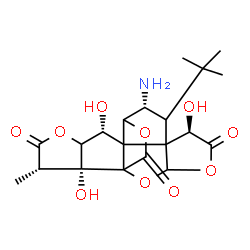 ChemSpider 2D Image | (6R,9R,12R,16S,17R)-9-Amino-6,12,17-trihydroxy-16-methyl-8-(2-methyl-2-propanyl)-2,4,14,19-tetraoxahexacyclo[8.7.2.0~1,11~.0~3,7~.0~7,11~.0~13,17~]nonadecane-5,15,18-trione | C20H25NO10