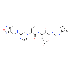 ChemSpider 2D Image | (3S)-5-[(7-Azabicyclo[2.2.1]hept-7-ylmethyl)amino]-3-({2-[3-{[(4-methyl-1,2,5-oxadiazol-3-yl)methyl]amino}-2-oxo-1(2H)-pyrazinyl]butanoyl}amino)-4-oxopentanoic acid | C24H34N8O6