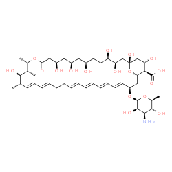 ChemSpider 2D Image | (1S,3R,4R,7R,9R,11R,15S,16R,17R,18S,19E,21E,25E,27E,29E,31E,33R,35S,36R,37S)-33-[(3-amino-3,6-dideoxy-beta-L-mannopyranosyl)oxy]-1,3,4,7,9,11,17,37-octahydroxy-15,16,18-trimethyl-13-oxo-14,39-dioxabicyclo[33.3.1]nonatriaconta-19,21,25,27,29,31-hexaene-36-carboxylic acid | C47H75NO17